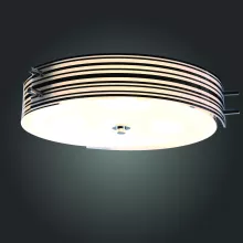 Потолочный светильник ST Luce Hegia SL484.542.06 купить с доставкой по России